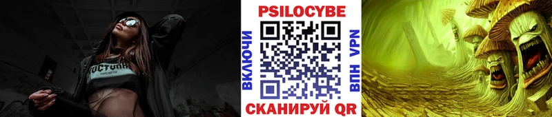 кракен как зайти  Туринск  Галлюциногенные грибы Psilocybine cubensis 